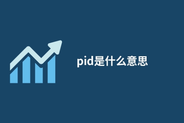 pid是什么意思