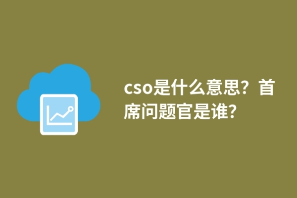 cso是什么意思？首席问题官是谁？