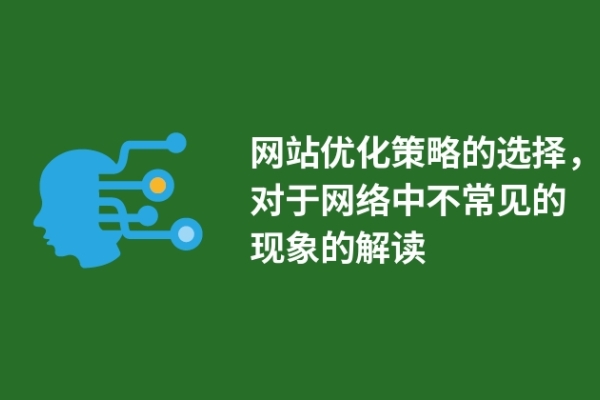 网站优化策略的选择，对于网络中不常见的现象的解读