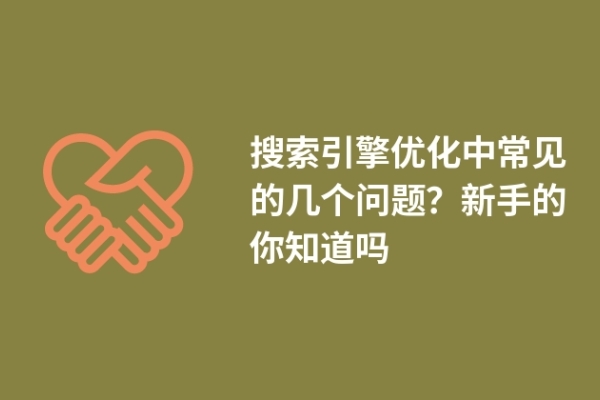搜索引擎优化中常见的几个问题？新手的你知道吗