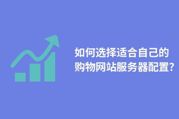 如何选择适合自己的购物网站服务器配置？