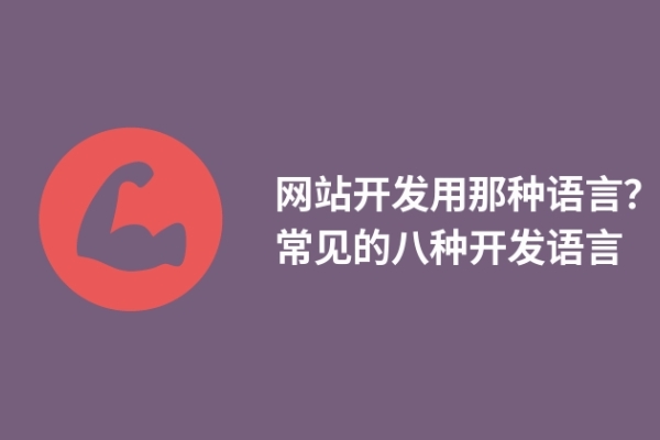 网站开发用那种语言？常见的八种开发语言