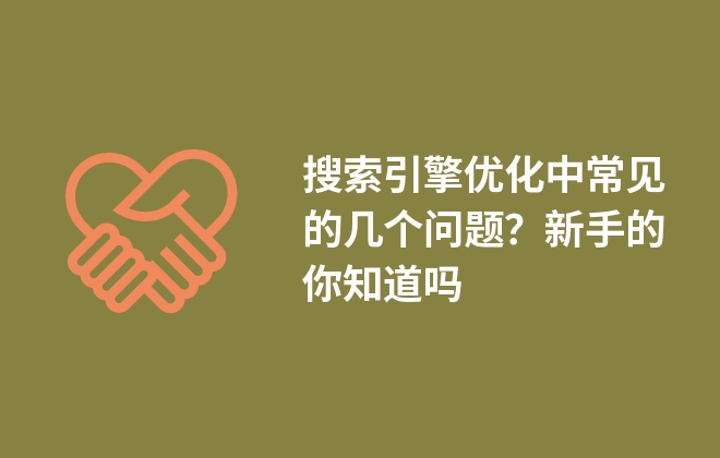 搜索引擎优化中常见的几个问题？新手的你知道吗