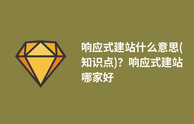 091556503