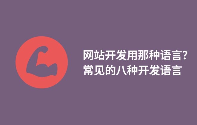 网站开发用那种语言？常见的八种开发语言